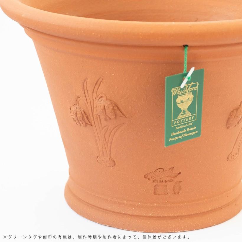 ウィッチフォード 植木鉢 フリチラリアポット 直径34cmサイズ