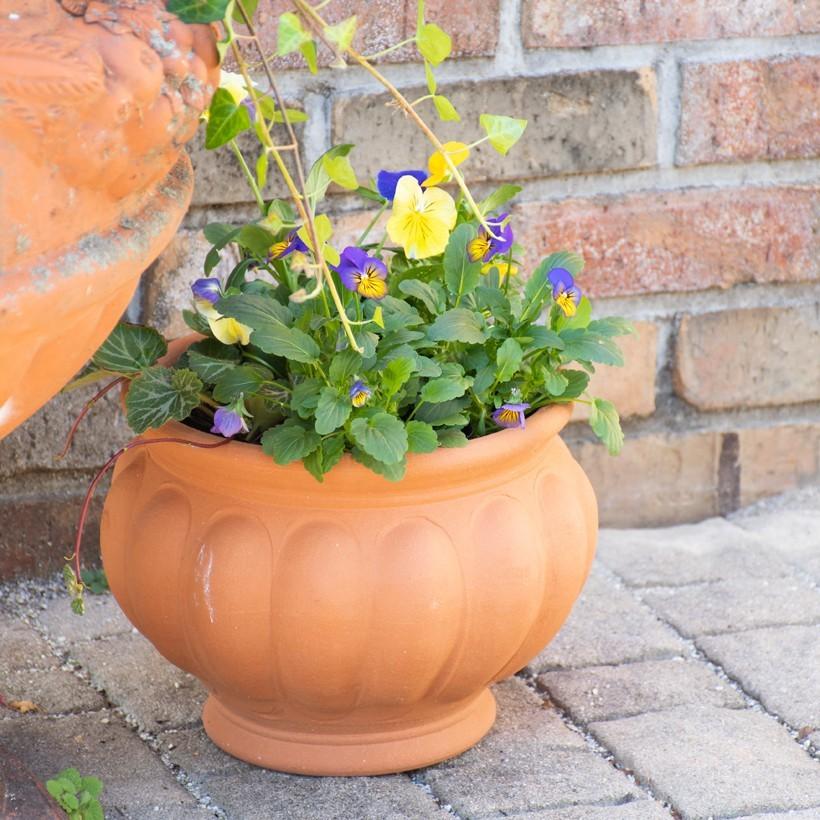ウィッチフォード 植木鉢 フルーティッドポット 直径27cmサイズ