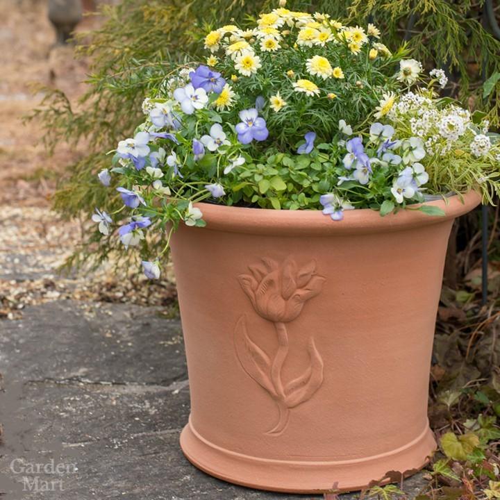 ウィッチフォード 植木鉢 ミスト チューリップポット 直径35cmサイズ Whichford Potteryの画像