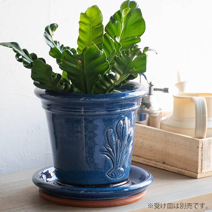 ウィッチフォード 植木鉢 グレイズドクロッカスポット 直径17cmサイズ 