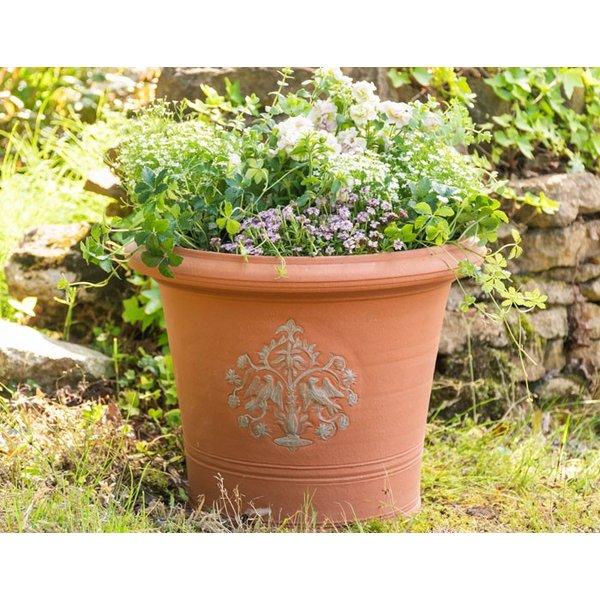 ウィッチフォード 植木鉢 ラブバーズ ポット アッシュ 直径35cmサイズ