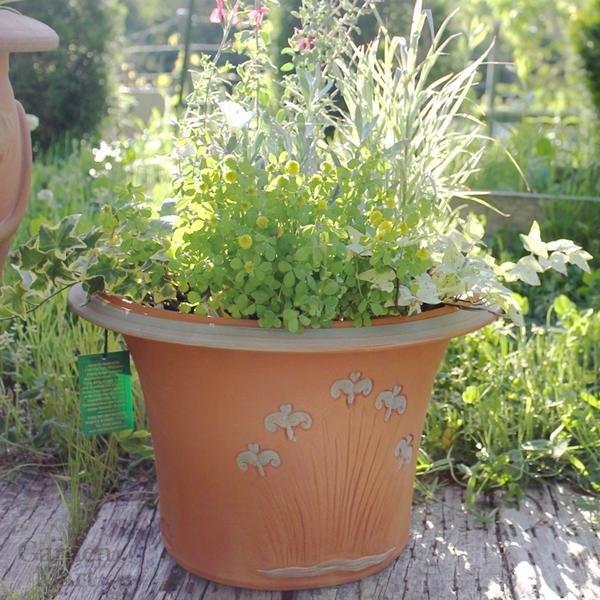 ウィッチフォード 植木鉢 ウィンドラッシュ アイリス ポット 直径39cm