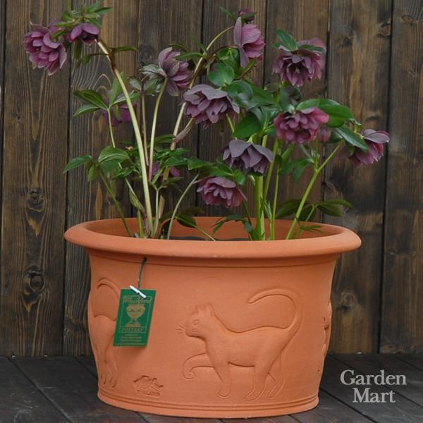 ウィッチフォード 植木鉢 キャットプランター 直径36cmサイズ