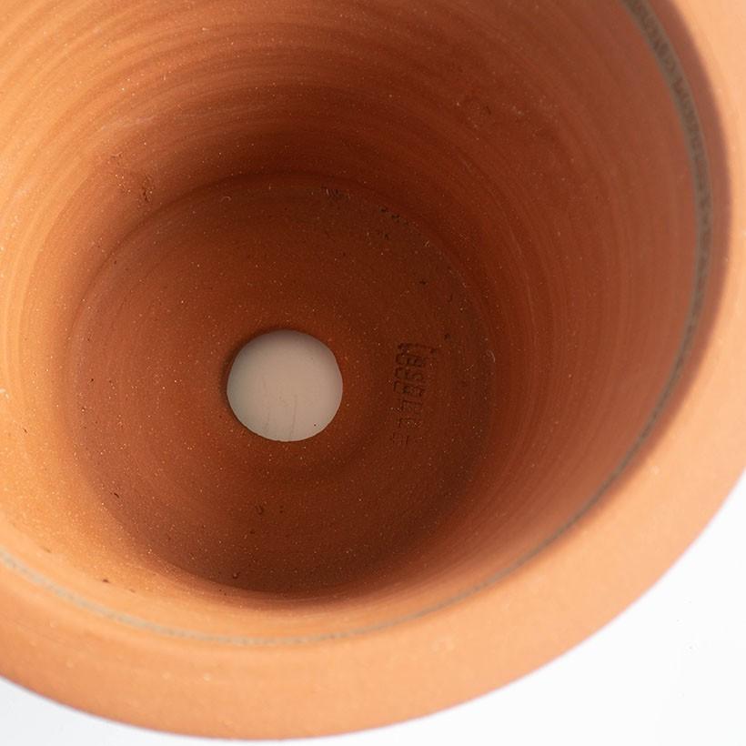 ウィッチフォード 植木鉢 エリザベス女王陛下 95th 誕生記念日 ポット ウィッチフォード 植木鉢 エリザベス女王陛下 95th 誕生記念日