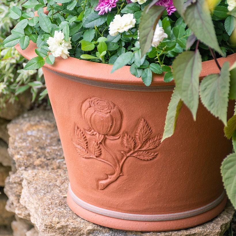 ウィッチフォード 植木鉢 エリザベス女王陛下 95th 誕生記念日 ポット ウィッチフォード 植木鉢 エリザベス女王陛下 95th 誕生記念日 ポット