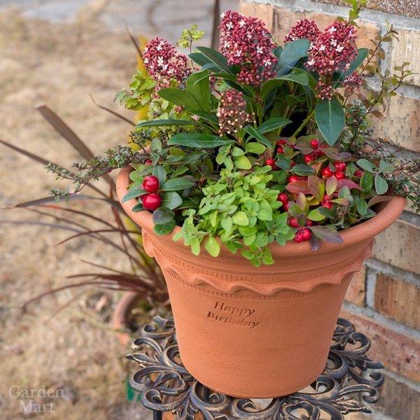 ウィッチフォード 植木鉢 ペイストリーポット 直径29cmサイズ「Happy