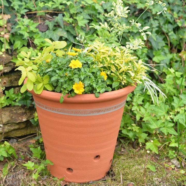 ウィッチフォード 植木鉢 キッチンガーデンポット 直径27cmサイズ