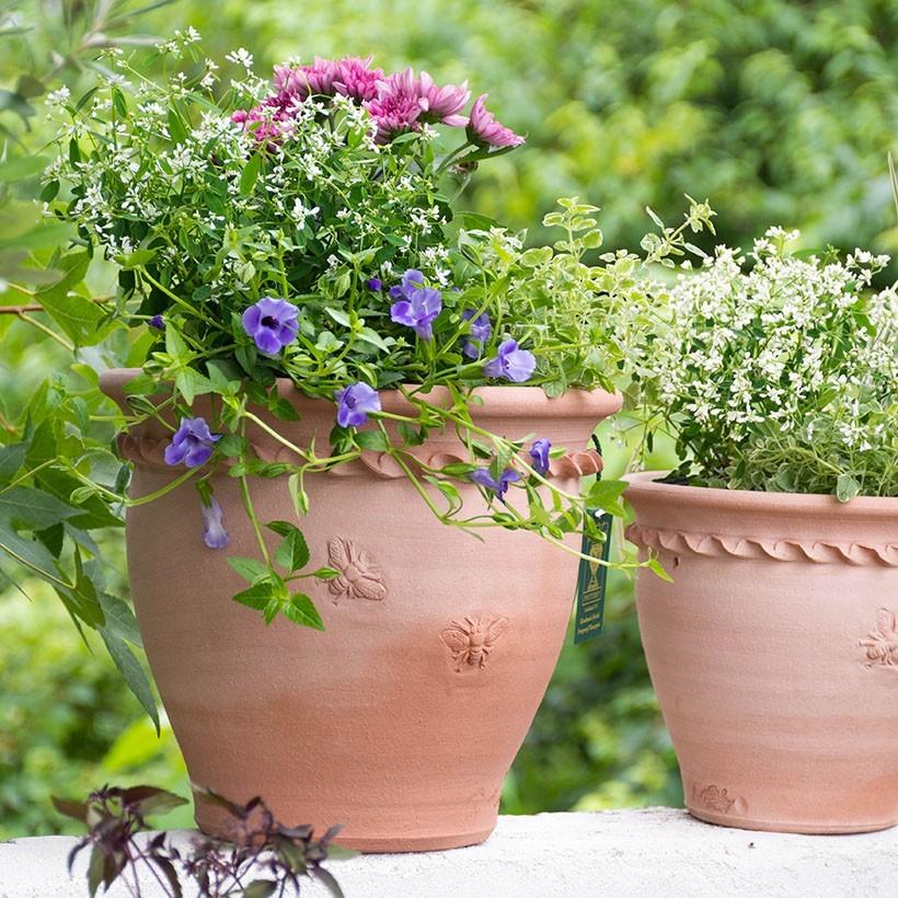 ウィッチフォード 植木鉢 Bee 蜂 ハチ シリーズ ラウンドフラワーポット 直径27cmサイズ ミスティッド Whichford Pottery 当店オリジナル Wf Gm337misted ガーデンマート Yahoo 店 通販 Yahoo ショッピング