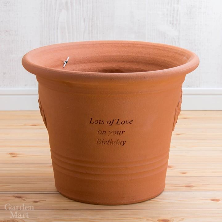 予約販売】ウィッチフォード 植木鉢 Birthday イングリッシュローズ