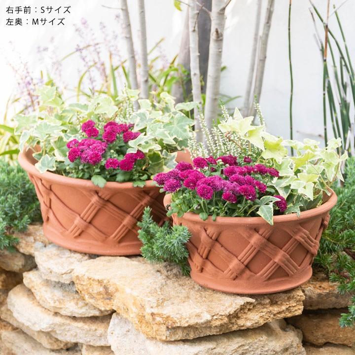 ミニバラプレゼント対象 ガーデンマートオリジナル バスケット ハーフポット 直径29cm Lサイズ Gmlgbasket ウィッチフォード テラコッタ 植木鉢 Wf Gmlgbasket ガーデンマート Yahoo 店 通販 Yahoo ショッピング