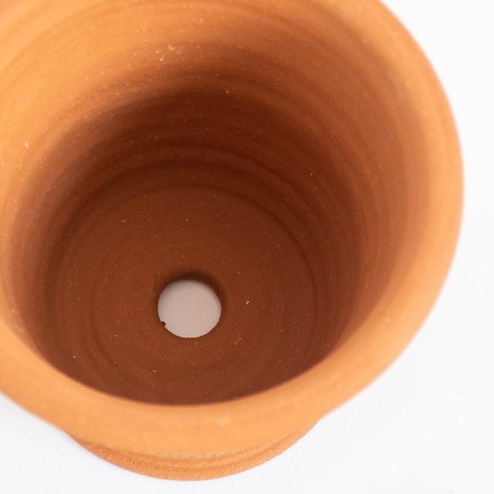ウィッチフォード 植木鉢 チェルシーフラワーショー 2018 ポット 直径16cmサイズ Whichford Pottery (2024年9月再入荷) (2025お年玉対象) (2025福袋対象)