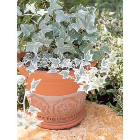 ウィッチフォード 植木鉢 チェルシーフラワーショー 2018 ポット 直径16cmサイズ Whichford Pottery (2024年9月再入荷) (2025お年玉対象) (2025福袋対象)