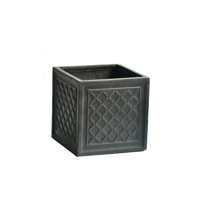 鉢曇摩華様　専用購入野外標本２点セット 鉢曇摩華様 専用購入野外標本2点セット