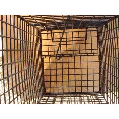 捕獲器アクリル板　Mサイズ　人工芝セット アニマルキャッチャー Mサイズ ジャンボ捕獲器 AC-26 55829
