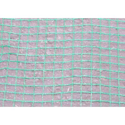 防獣ネット（アニマルネット）　16mm目　1.5mx50m　2本セット　55245　/　獣よけ　農業