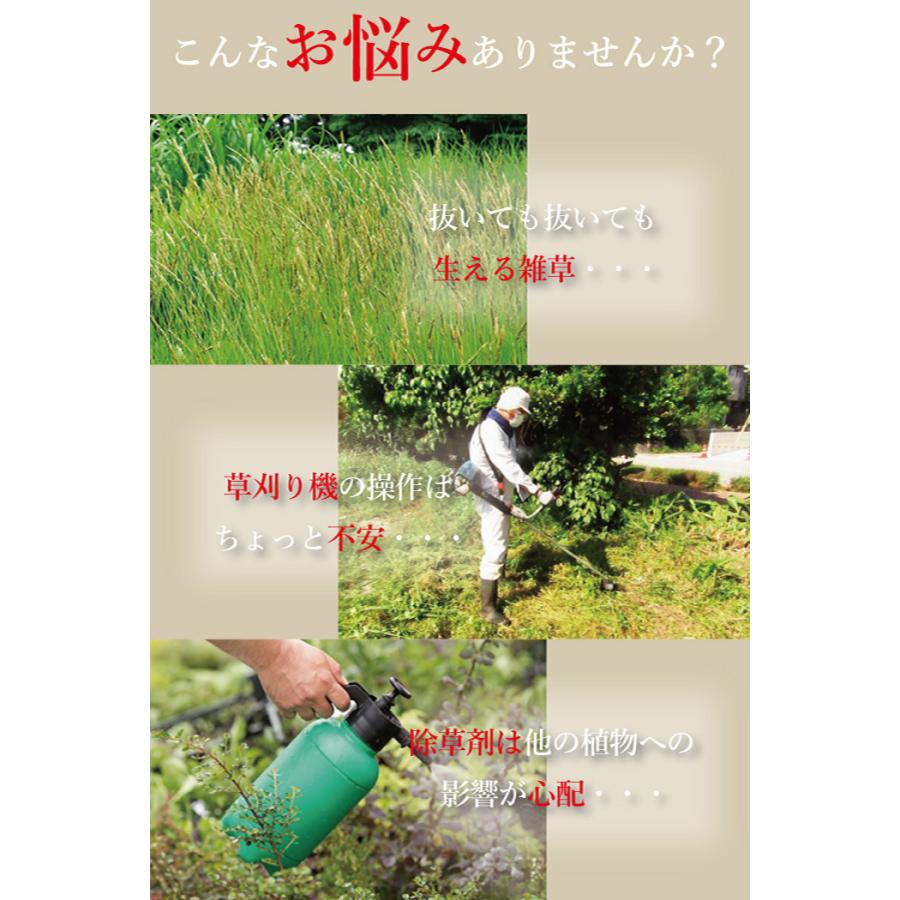 プランテックス防草シート（ザバーン） 1mx30m 240G グリーン デュポン