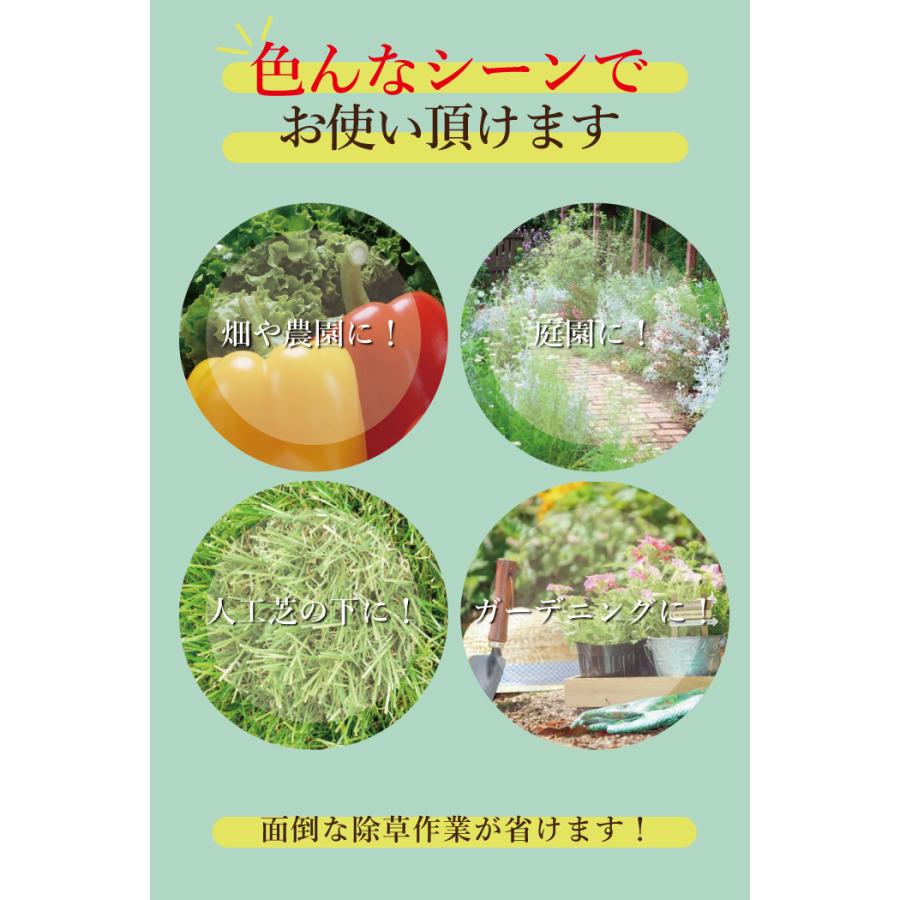 プランテックス防草シート（ザバーン） 1mx30m 240G グリーン デュポン