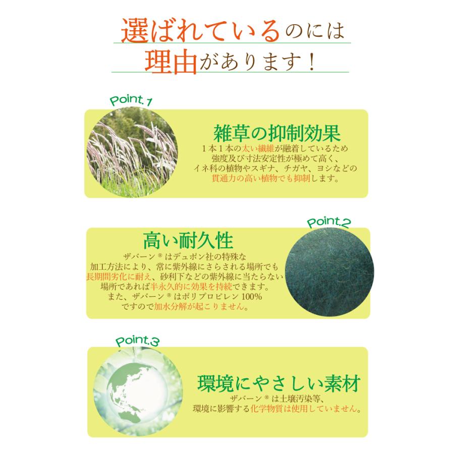プランテックス防草シート（ザバーン） 1mx30m 240G グリーン デュポン