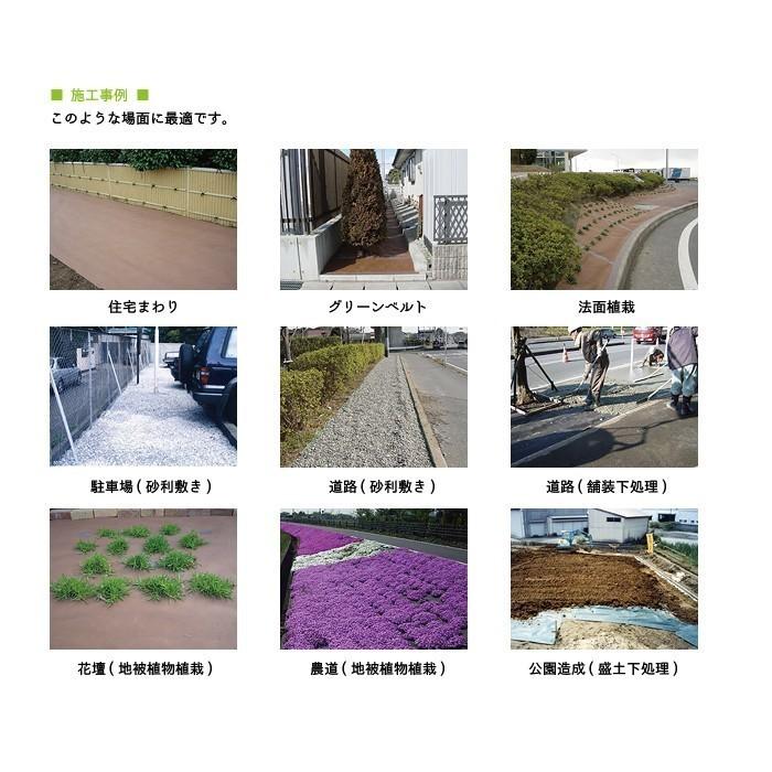 プランテックス防草シート（ザバーン） 1mx30m 240G グリーン デュポン