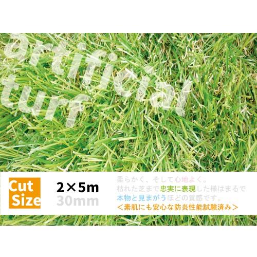 人工芝　ロール ２ｍ×５ｍ　　芝　ガーデン　ガーデンターフ　56743　リアル