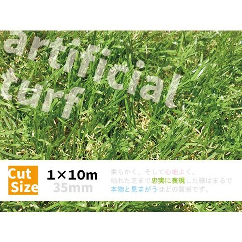 人工芝 ロール 1m×10m 〔35mm〕 □今だけ芝ピンおまけつき！□ リアル