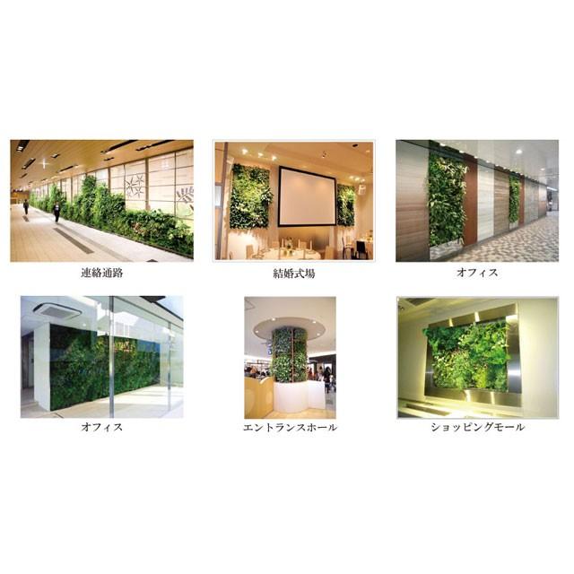 マグプランツ マグネット式人工観葉植物 シェフレラ 6本セット (BY-DCMP-013)｜gardens｜02