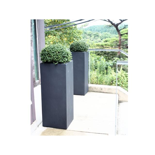 BL ヘリッチ H100cm (MH-EB-18063600)の画像