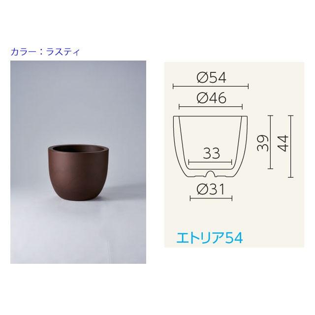 ユーロスリー・エトリア 54cm (PN-ER-2320)の画像
