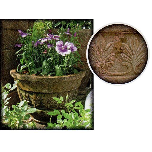 アンティーク・ポットC セット2 (FR-RV4291AN) |  | 01