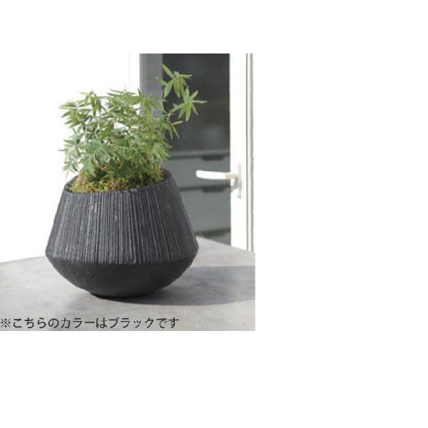 エディ・ラウンド グレー M 35cm (IR-TL012-1MGy)の画像
