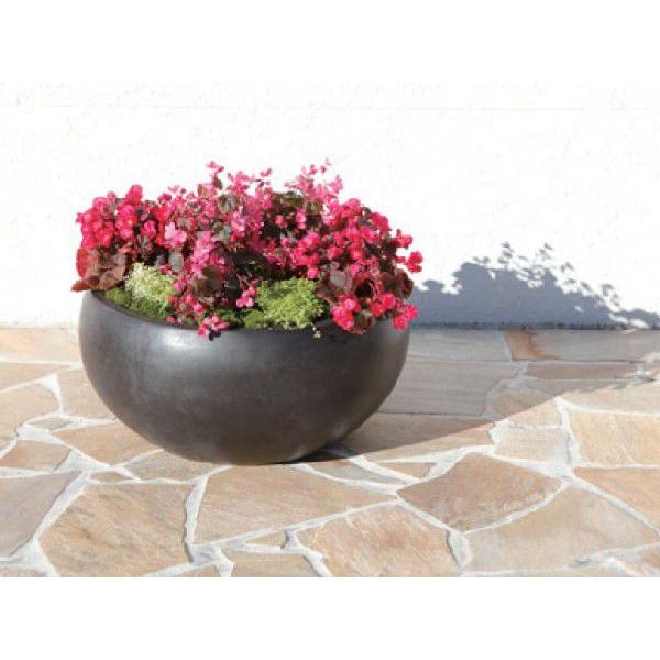 セドナボール 墨 L 60cm (IR-VG-022Az) PET1268950751(12650円)