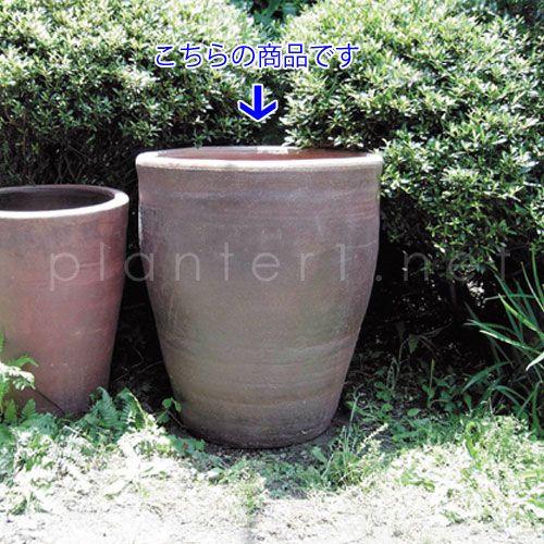 切立 大 (穴あり) 58cm (KL-R-13) | 