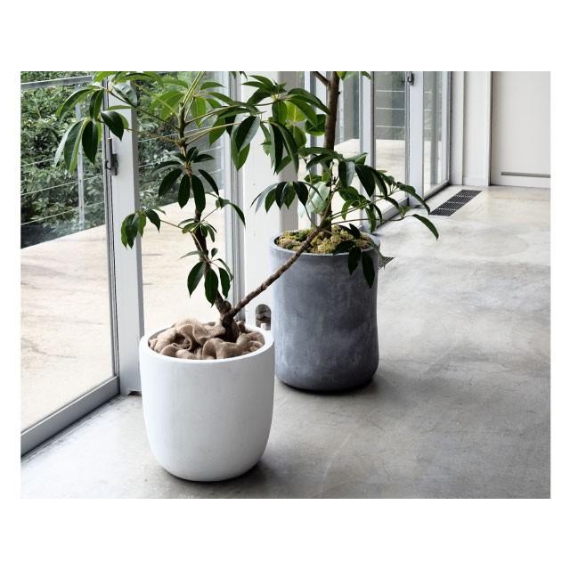 【人気商品】グリーンポット バスク ミドル 37cm グレー GA-0537GY 楽天市場】グリーンポット 植木鉢 バスク ミドル 37cm グレー GA