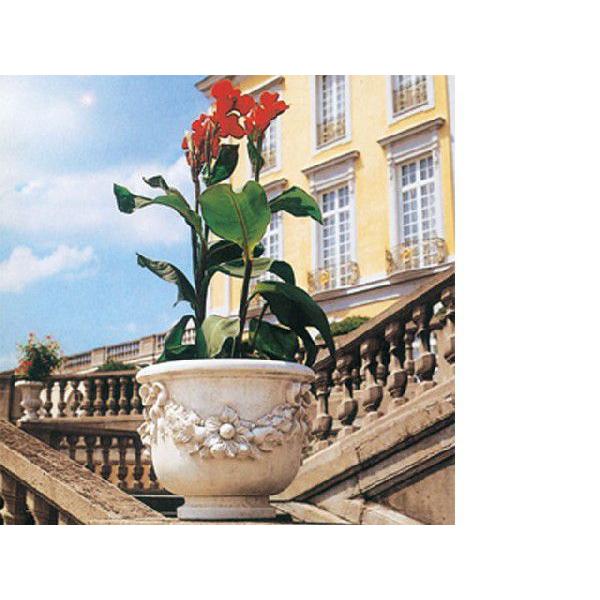 全ての ファビオ 60cm Ns Vr0694 コンビニ受取対応商品 Habitat Jeunes Normandie Fr