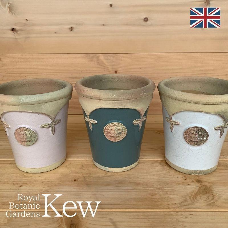 キューガーデン*アザレア キューポット*ライトカーキ*Lサイズ*中古品 園芸