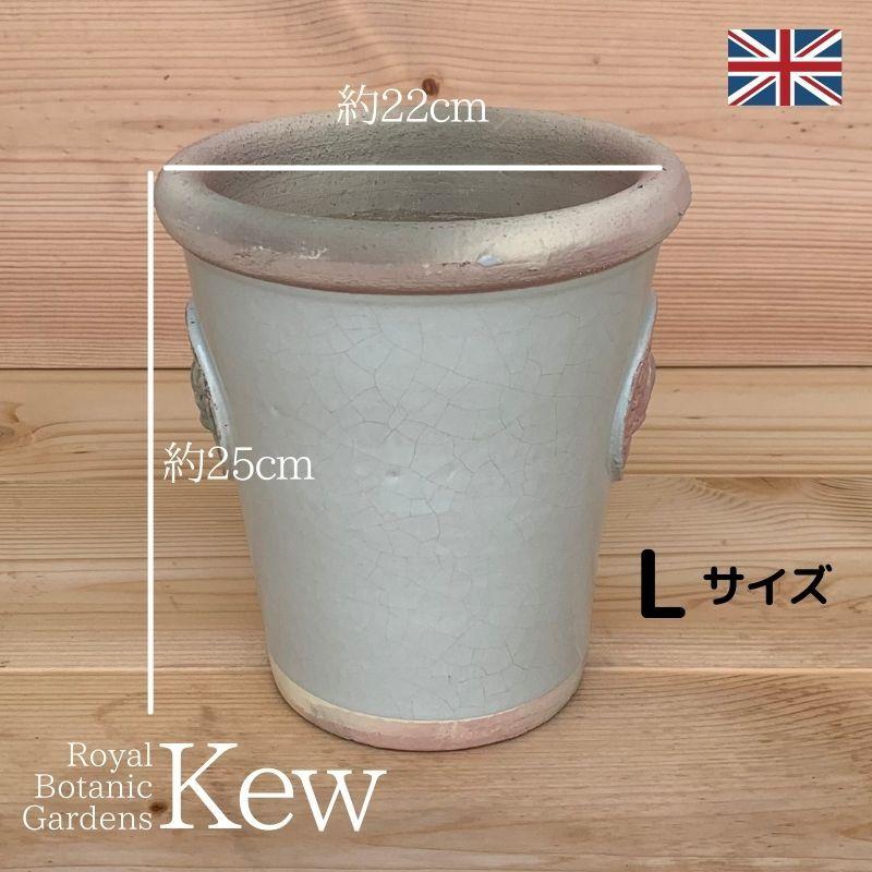 キューガーデン(Kew Gardens)オフィシャル植木鉢 リスピー キューガーデン(Kew Gardens)オフィシャル植木鉢 リスピー