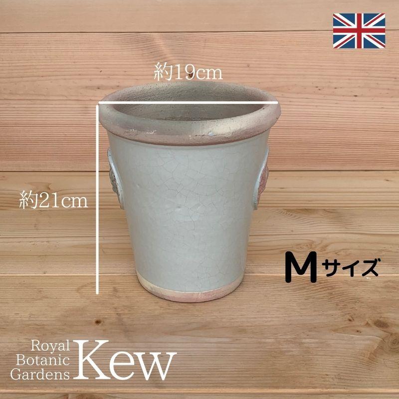 キューガーデン(Kew Gardens)オフィシャル植木鉢 リスピー