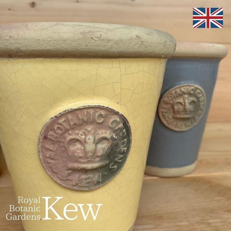 キューガーデン　鉢　グレー 楽天市場】キューガーデン Kew Garden テラコッタ鉢 ランカ キュー