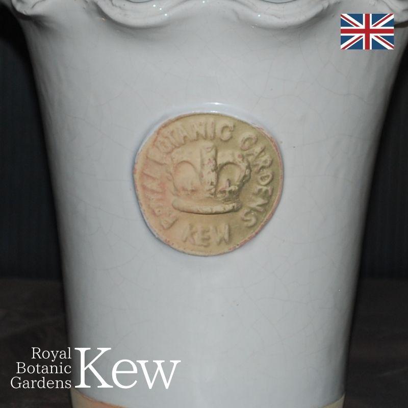 キューガーデン(Kew Gardens)オフィシャル植木鉢 チェスター