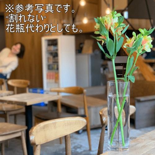 透明植木鉢 クリアポット シリンダー 直径12cm 高さ40cm Vns 観葉植物に 円柱型水槽に Vns 1 400 ガーデンズ通販 通販 Yahoo ショッピング