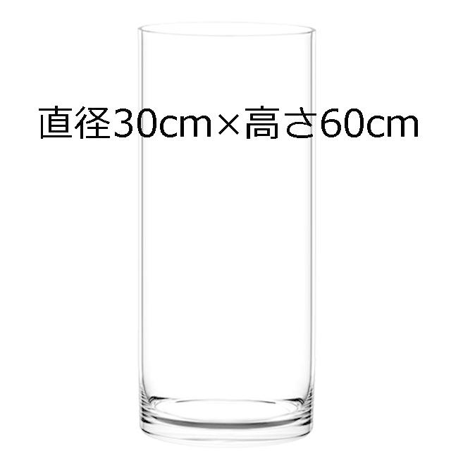 新作モデル 透明植木鉢 クリアポット シリンダー 直径30cm 高さ60cm Vns 観葉植物に 円柱型水槽に 最適な材料 Kuljic Com