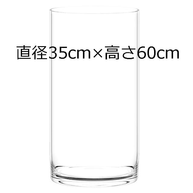 無料長期保証 透明植木鉢 クリアポット シリンダー 直径35cm 高さ60cm Vns 観葉植物に 円柱型水槽に 気質アップ Orientalweavers Com