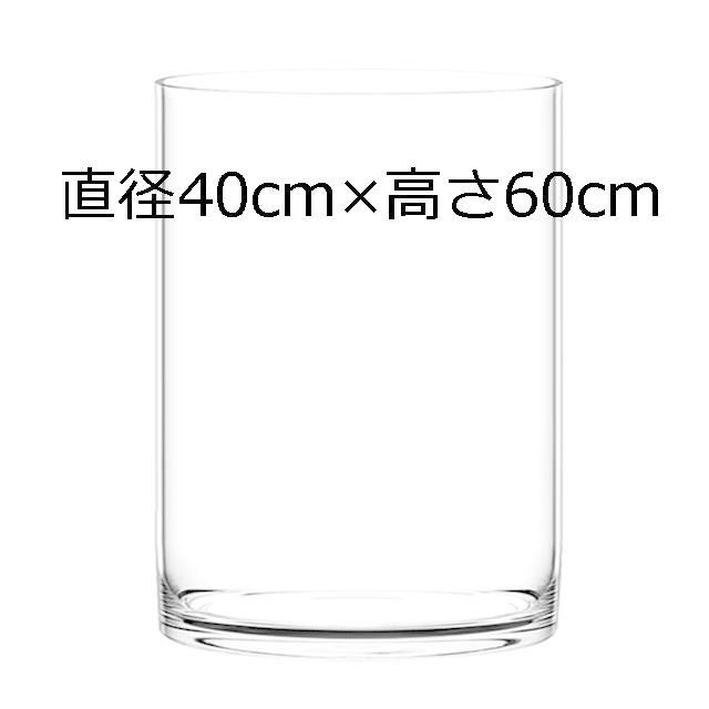 限定製作 透明植木鉢 クリアポット シリンダー 直径40cm 高さ60cm Vns 観葉植物に 円柱型水槽に 限定製作 Www Cepici Gouv Ci