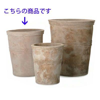 テラアストラ・カペラ H53cm (YT-AS-R25X15E) | 