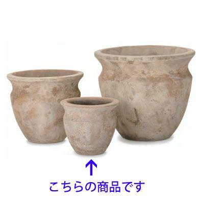 テラアストラ・ベガ 27cm (YT-AS-R26X09E) | 