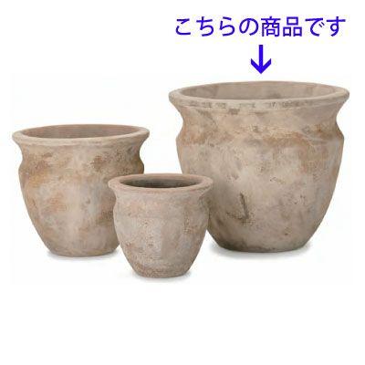 テラアストラ・ベガ 52cm (YT-AS-R26X17E) | 