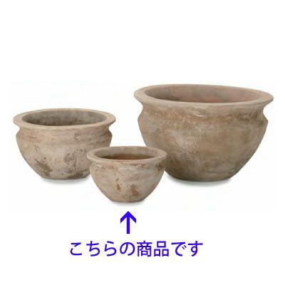 テラアストラ・ベガ・ロー 28cm (YT-AS-R27X09E) | 