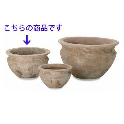 テラアストラ・ベガ・ロー 39cm (YT-AS-R27X13E) | 