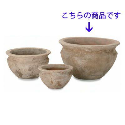 テラアストラ・ベガ・ロー 53cm (YT-AS-R27X18E) | 