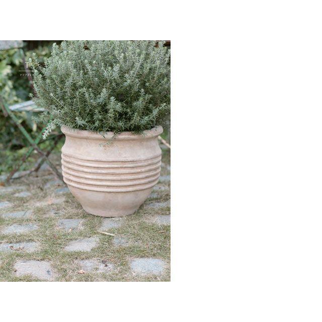 テラアストラ・リゲル 33cm (YT-AS-R28X11E) |  | 01